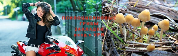 меф Алзамай