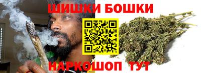 ешки Сланцы