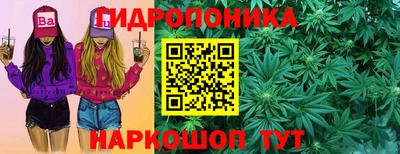 ешки Сланцы