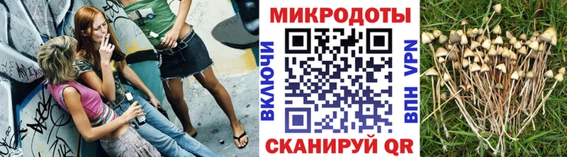 Псилоцибиновые грибы прущие грибы Сарапул