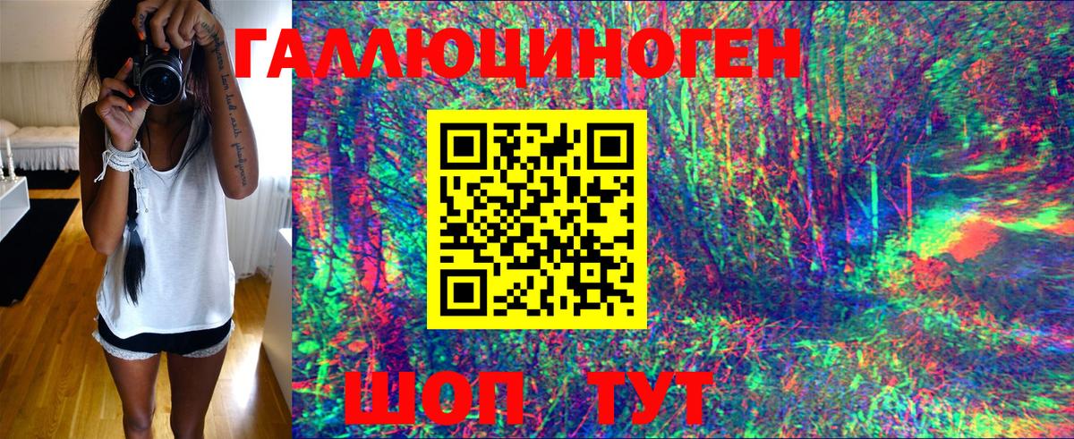 Сарапул  Галлюциногенные грибы Psilocybe  Вход с VPN 